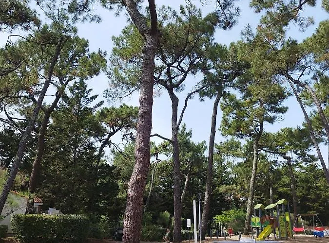 Domaine De La Presqu'ile 4*